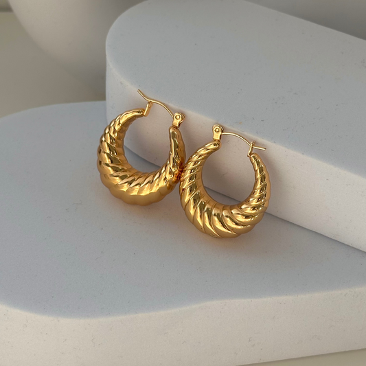 Hoops Earrings